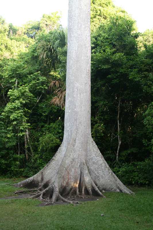 Mexico & Guatemala 2010 - 1050